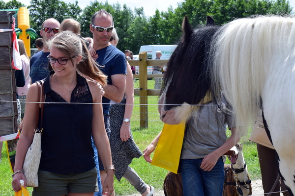 Staden-SchooneSchaapjes-4-6-2017-22