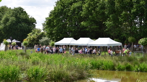 Staden-SchooneSchaapjes-4-6-2017-56