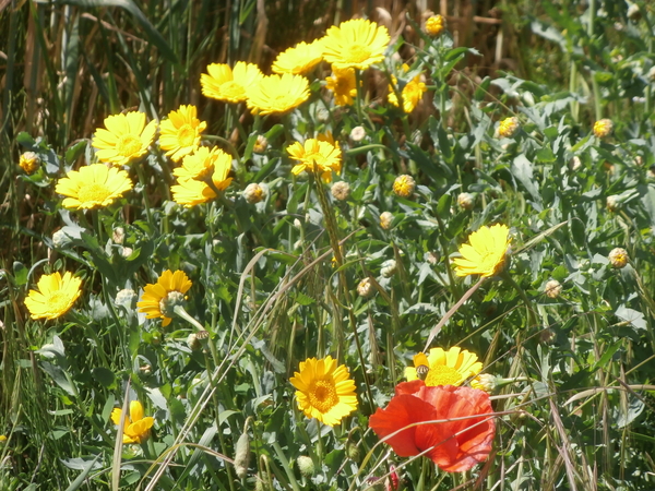 P6060006