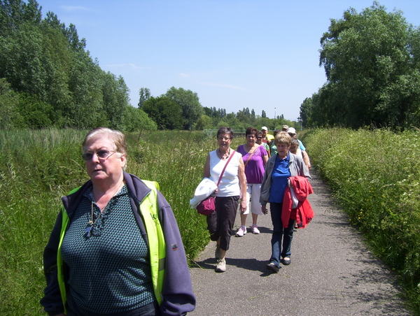 Wandeling naar Mechelen-Noord - 4 juni 2015