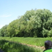 Wandeling naar Mechelen-Noord - 4 juni 2015