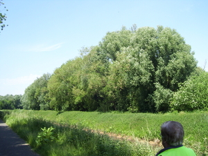 Wandeling naar Mechelen-Noord - 4 juni 2015