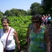 Wandeling naar Mechelen-Noord - 4 juni 2015