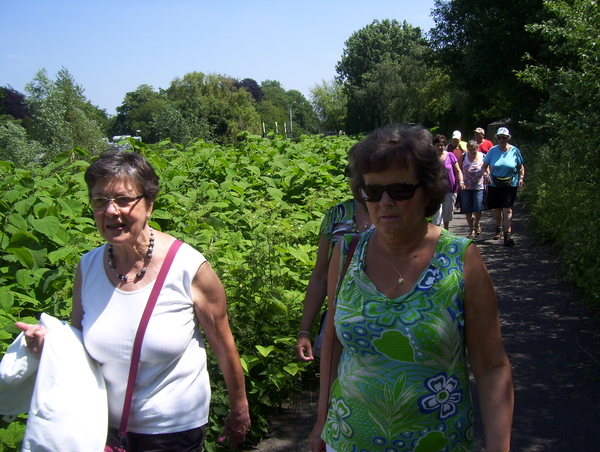 Wandeling naar Mechelen-Noord - 4 juni 2015