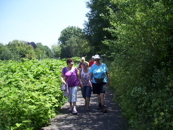 Wandeling naar Mechelen-Noord - 4 juni 2015