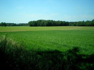 Door de vlakke velden)