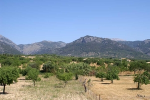 Mallorca-2007---004