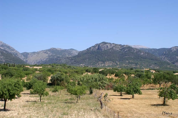 Mallorca-2007---004