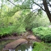 20150510_082901