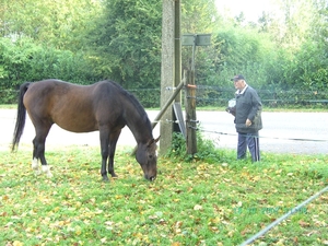 2008-10(okt) 18 Wommelgem 008