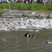 Thriathlon-Roeselare 7-6-2015