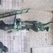 Dagtrip naar Antwerpen Linkeroever - 11 juni 2015