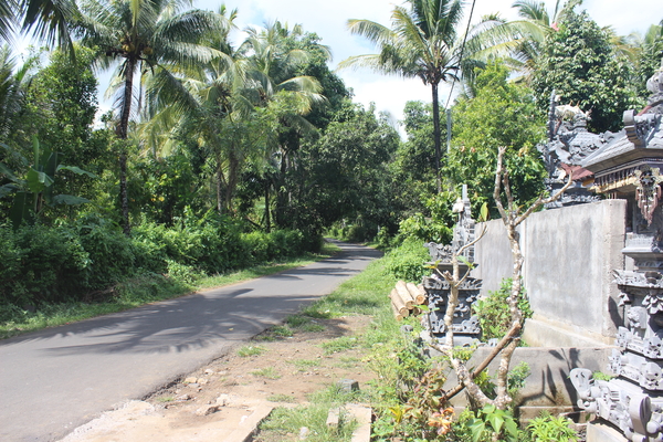 Tripje naar Titab Dam