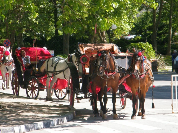 bulgarije bulgarie bulgaria