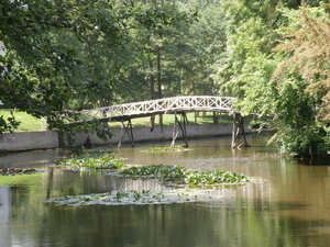 P6130007