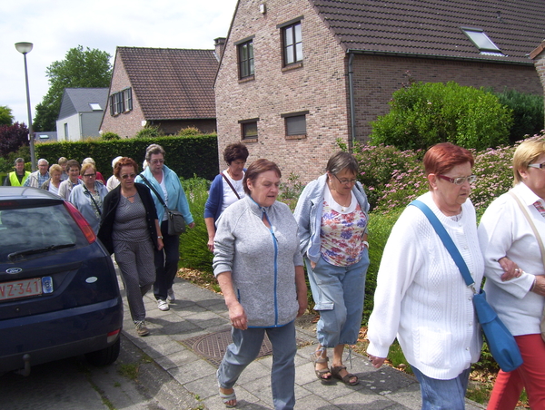 Maandagwandeling langs de Berkelei - 15 juni 2015