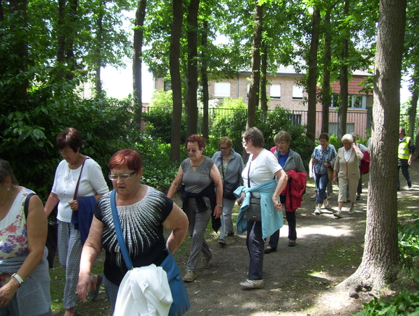 Maandagwandeling langs de Berkelei - 15 juni 2015