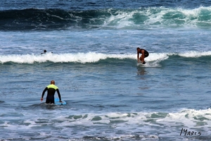 Tenerife April 2015 - 048