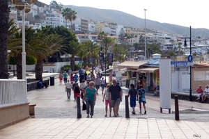 Tenerife April 2015 - 068