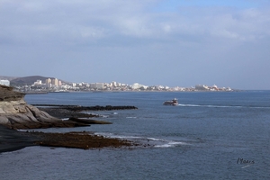 Tenerife April 2015 - 072