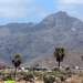 Tenerife April 2015 - 074