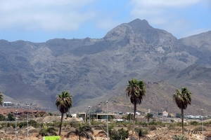 Tenerife April 2015 - 074