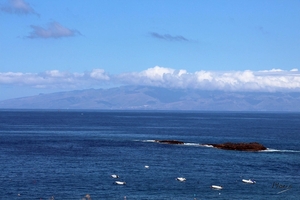 Tenerife April 2015 - 083