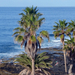 Tenerife April 2015 - 091