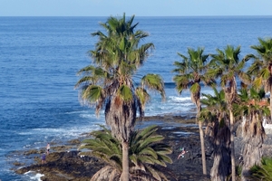Tenerife April 2015 - 091