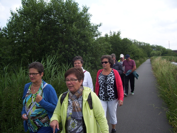 Wandeling langs Elzestraat - 18 juni 2015