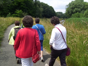 Wandeling langs Elzestraat - 18 juni 2015