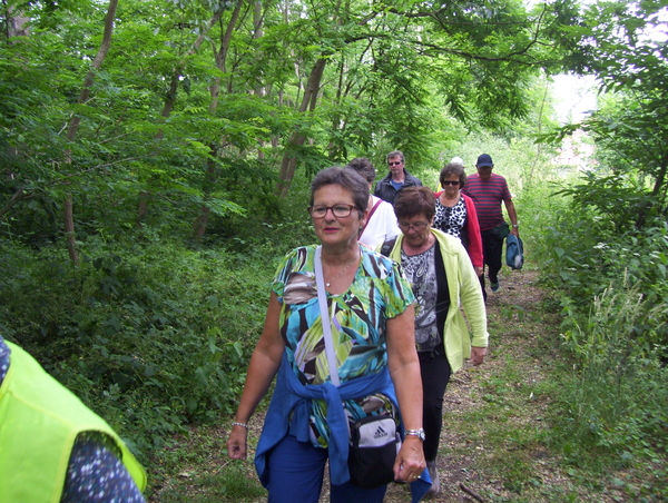 Wandeling langs Elzestraat - 18 juni 2015