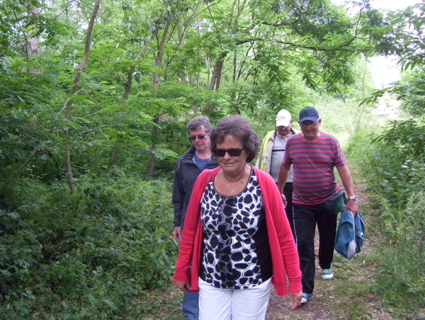 Wandeling langs Elzestraat - 18 juni 2015