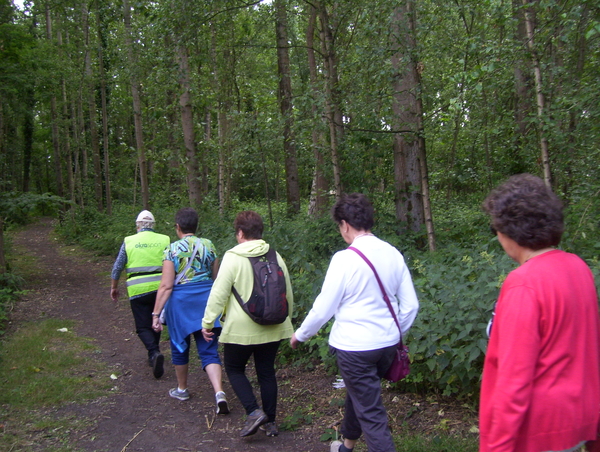 Wandeling langs Elzestraat - 18 juni 2015