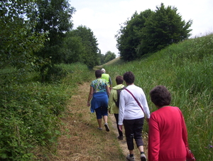 Wandeling langs Elzestraat - 18 juni 2015