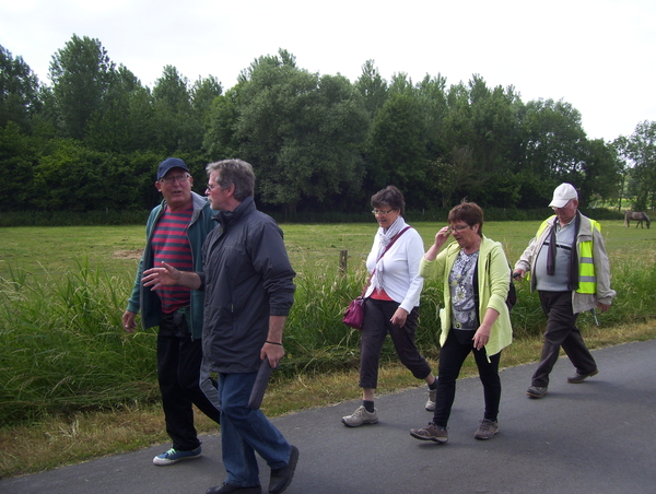 Wandeling langs Elzestraat - 18 juni 2015