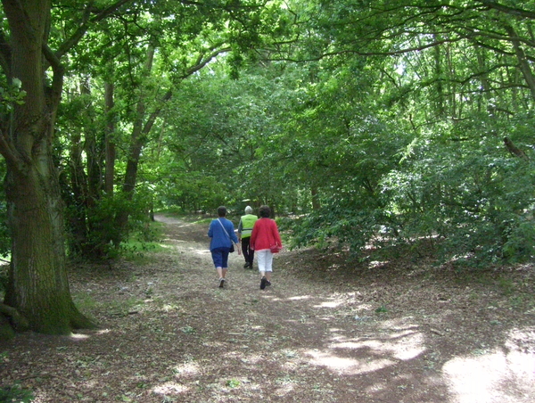 Wandeling langs Elzestraat - 18 juni 2015