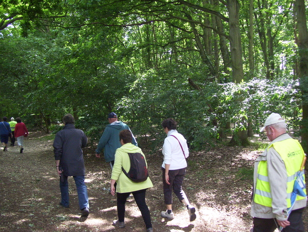 Wandeling langs Elzestraat - 18 juni 2015