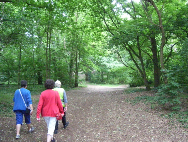 Wandeling langs Elzestraat - 18 juni 2015