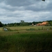 rust en