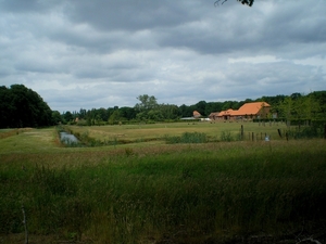 rust en