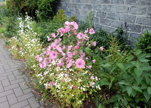 09