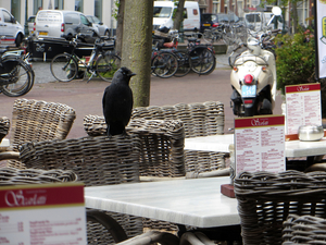 leiden