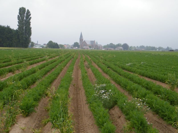 hoppetocht wsv de hopbelletjes opwijk