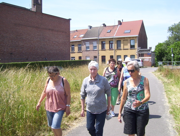 Wandeling langs de Nekker - 25 juni 2015