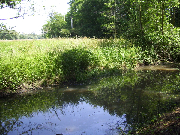 Wandeling langs de Nekker - 25 juni 2015