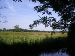 Wandeling langs de Nekker - 25 juni 2015