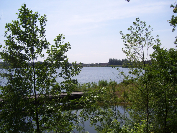 Wandeling langs de Nekker - 25 juni 2015