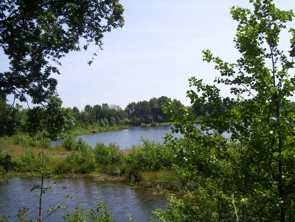 Wandeling langs de Nekker - 25 juni 2015