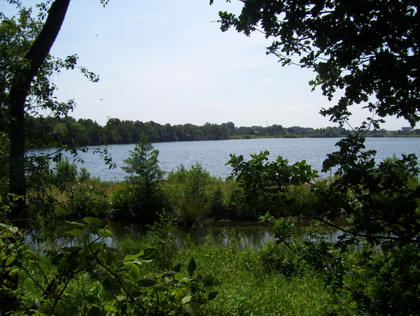 Wandeling langs de Nekker - 25 juni 2015